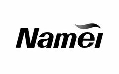 NAMEI