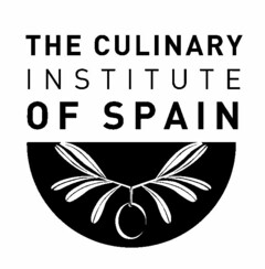 THE CULINARY INSTITUTE OF SPAIN