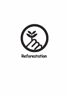 REFORESTATION