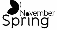 NOVEMBER SPRING