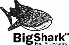 BIG SHARK POOL ACCESSORIES