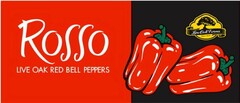 ROSSO LIVE OAK RED BELL PEPPERS LIVE OAK FARMS SINCE 1929