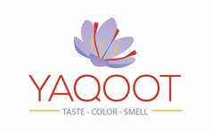 YAQOOT TASTE - COLOR - SMELL