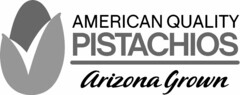 AMERICAN QUALITY PISTACHIOS ARIZONA GROWN