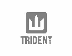 TRIDENT CASE