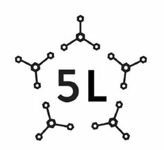 5L