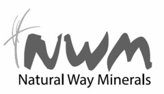 NWM NATURAL WAY MINERALS