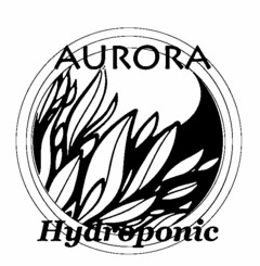 AURORA HYDROPONIC