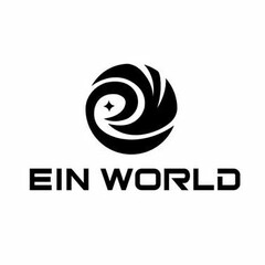 EIN WORLD