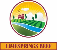 LIMESPRINGS BEEF