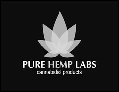 PURE HEMP LABS CANNABIDIOL PRODUCTS