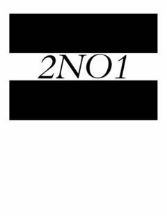 2NO1