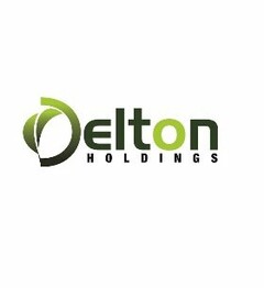 DELTON HOLDINGS