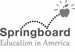 SPRINGBOARD EDUCATION IN AMERICA