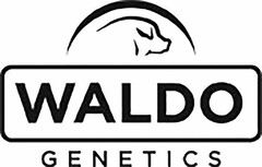 WALDO GENETICS