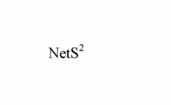 NETS2