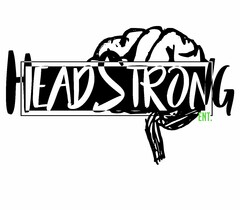 HEADSTRONG ENT.