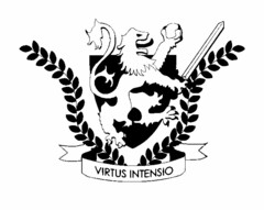 VIRTUS INTENSIO