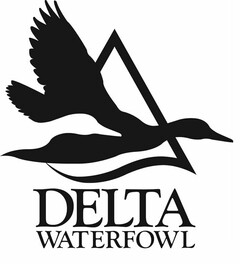 DELTA WATERFOWL