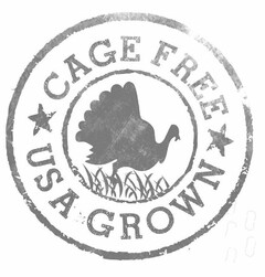 CAGE FREE USA GROWN