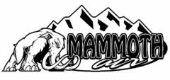 MAMMOTH AIR