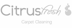 CITRUSFRESH CARPET CLEANING