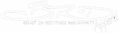 BIRD BELIEF IN RECTITUDE AND DIVINITY APPAREL