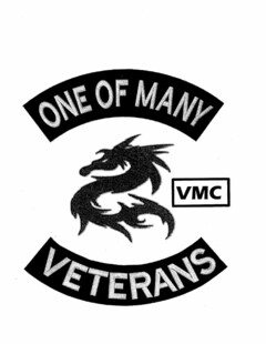 ONE OF MANY VETERANS VMC