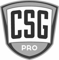 CSG PRO