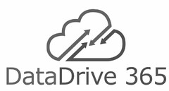 DATADRIVE 365