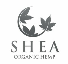 SHEA ORGANIC HEMP