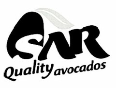 SAR QUALITY AVOCADOS