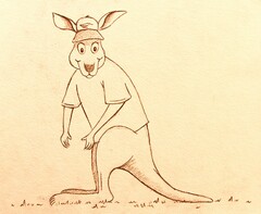 BRADFORD THE CAMPING KANGAROO