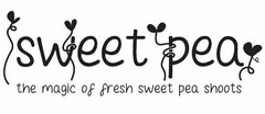 SWEET PEA THE MAGIC OF FRESH SWEET PEA SHOOTS