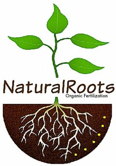 NATURALROOTS ORGANIC FERTILIZATION