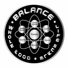 BALANCE · WHOLE FOOD · LIFESTYLE · PROTEIN CARBOHYDRATE LIPID VITAMIN MINERAL ENZYME BIOFLAVONOID