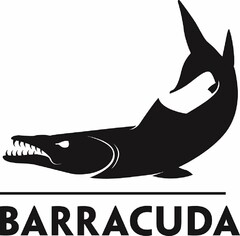 BARRACUDA