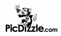 PICDIZZLE.COM