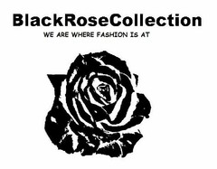 BLACKROSECOLLECTION WHERE FASHION IS AT