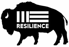 RESILIENCE