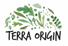 TERRA ORIGIN