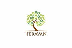 TERAVAN