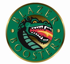 BLAZER BOOSTERS