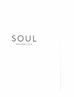 SOUL NATURALIZER