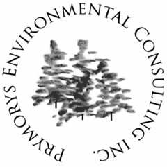 PRYMORYS ENVIRONMENTAL CONSULTING INC.