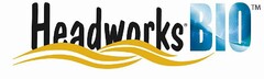 HEADWORKSBIO