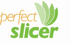 PERFECT SLICER