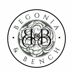 B&B BEGONIA & BENCH