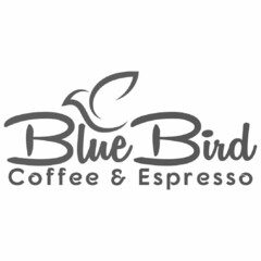 BLUE BIRD COFFEE & ESPRESSO