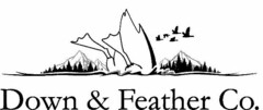 DOWN & FEATHER CO.